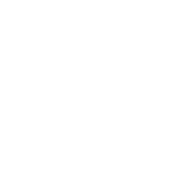 GitHub icon